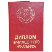 Диплом Начальника фото